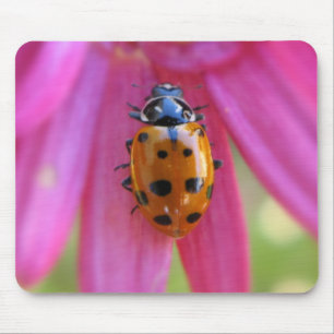Nyckelpiga Mousepad Musmatta