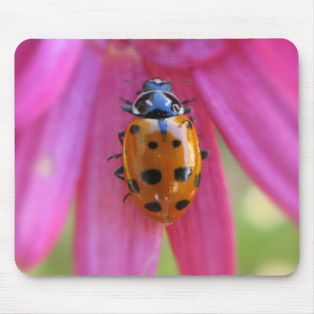 Nyckelpiga Mousepad Musmatta (Framsidan)