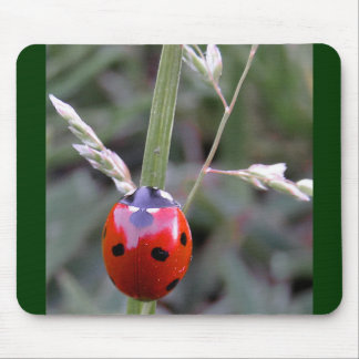 Nyckelpiga Mousepad Musmatta