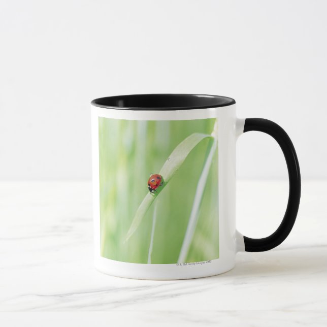 Nyckelpiga Mugg (Höger)