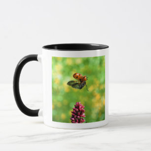 nyckelpiga mugg