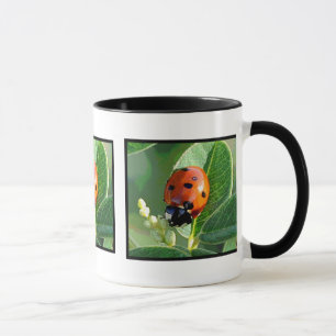 Nyckelpiga nyckelpiga~-mugg mugg