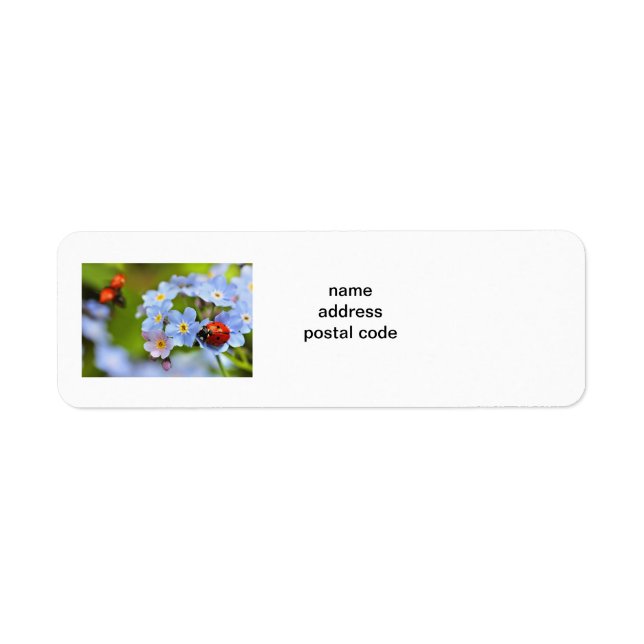nyckelpiga och blomma 30 returetiketter returadress etikett (Framsidan)