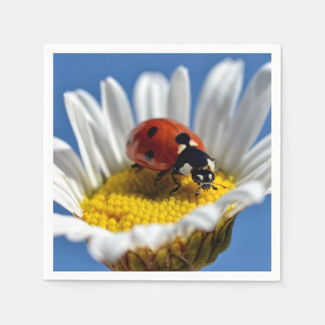 Nyckelpiga på daisy Mugg-musknapp Pappersservett (Framsidan)