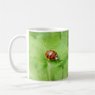 Nyckelpiga på det Feverfew löv Kaffemugg
