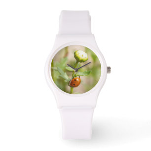 Nyckelpiga på en daisyknopp armbandsur