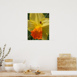 Nyckelpiga på gul narciss Blomma Poster