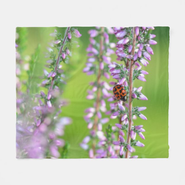 Nyckelpiga på lila blommor  fleecefilt (Framsidan (Horisontell))