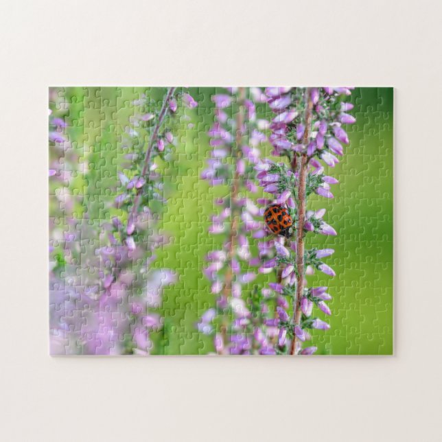 Nyckelpiga på lila blommor    pussel (Horisontell)