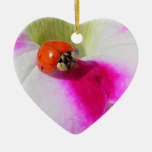 Nyckelpiga på petunia - ornament