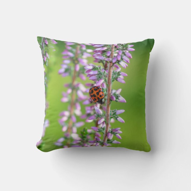 Nyckelpiga på purpurblommor  kudde (Framsida)