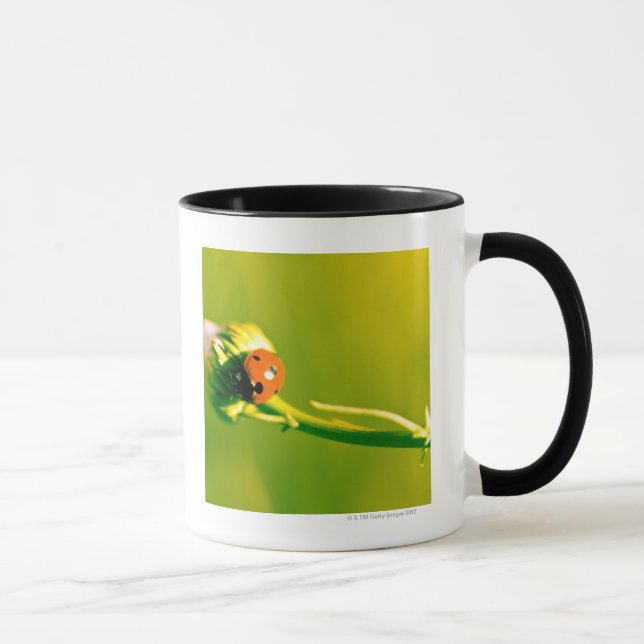 Nyckelpiga på sprig mugg (Höger)