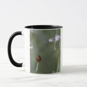 Nyckelpiga på Stem Mugg