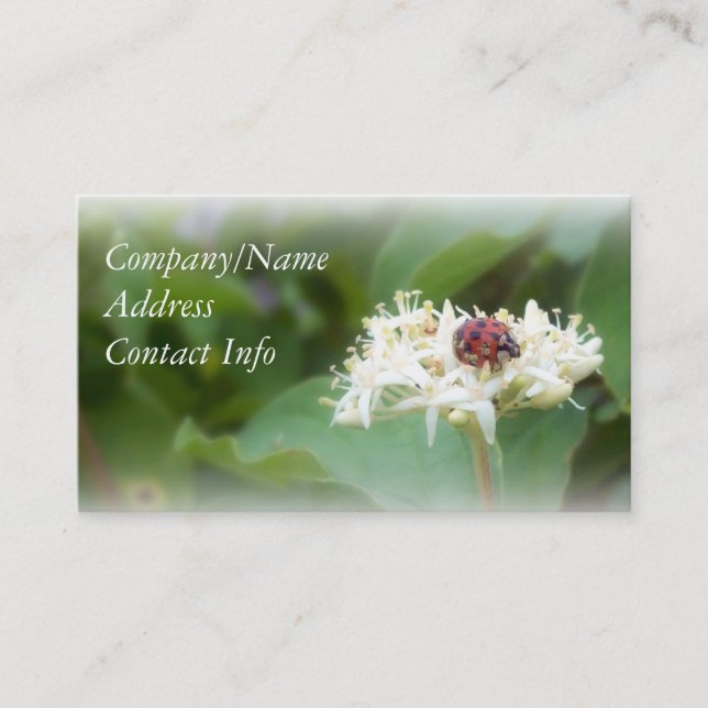 Nyckelpiga Visitkort (Framsida)