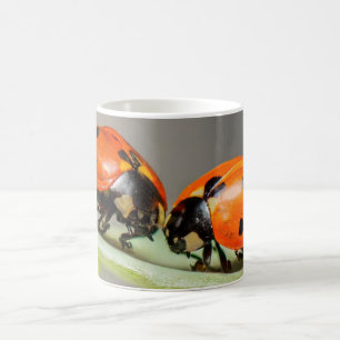 Nyckelpiga White Coffee Mugg