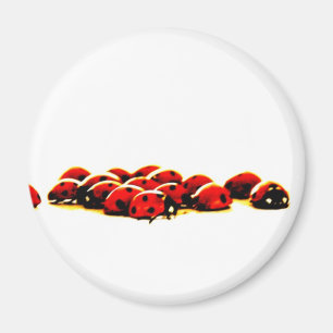 nyckelpigainvasion magnet
