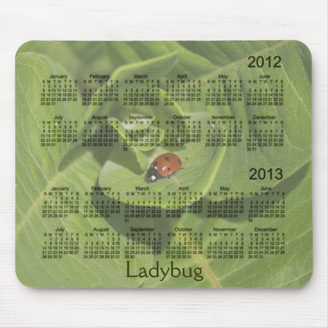 Nyckelpigakalender 2012-2013 Mousepad Musmatta (Framsidan)
