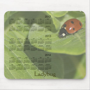Nyckelpigakalender 2012-2014 Mousepad Musmatta