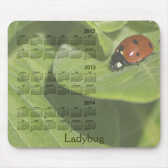 Nyckelpigakalender 2012-2014 Mousepad Musmatta (Framsidan)