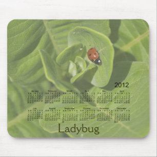Nyckelpigakalender 2012 Mousepad Musmatta