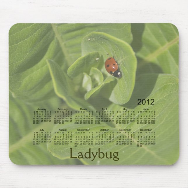 Nyckelpigakalender 2012 Mousepad Musmatta (Framsidan)