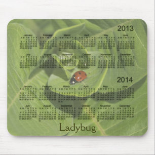 Nyckelpigakalender 2013-2014 Mousepad Musmatta