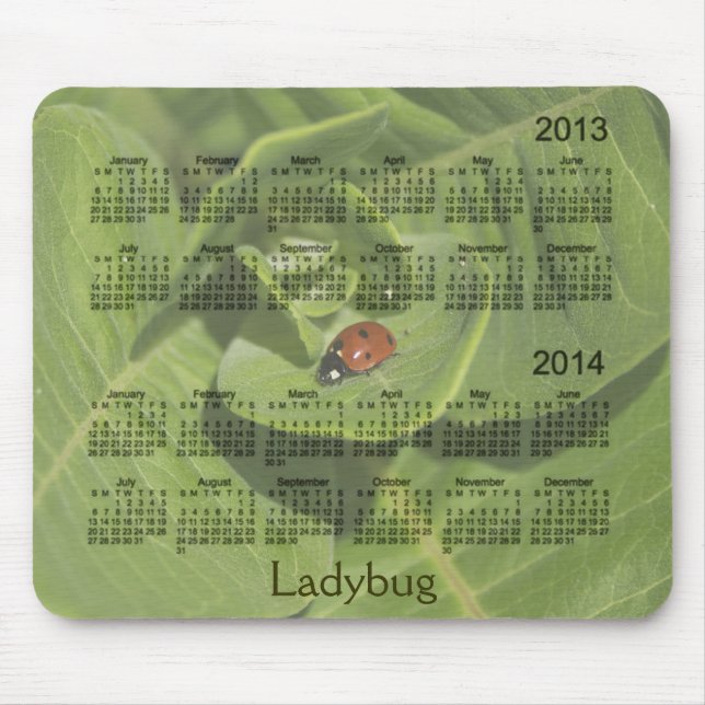 Nyckelpigakalender 2013-2014 Mousepad Musmatta (Framsidan)