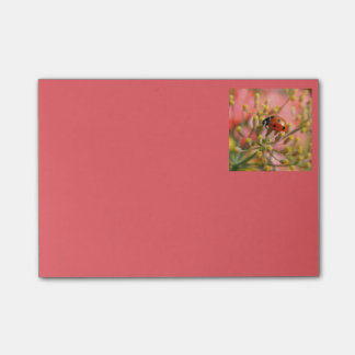 Nyckelpigan noterar post-it block