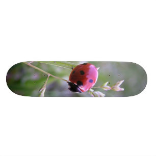 Nyckelpigan stiger ombord mini skateboard bräda 18,5 cm