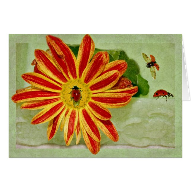 Nyckelpiganyckelpiganyckelpiga! Hälsningskort (Framsidan Horizontal)