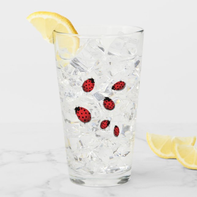 Nyckelpigor Glaskopp (Framsida Ice)