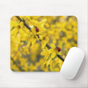 Nyckelpigor på gul forsythia-gren musmatta