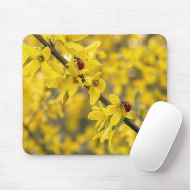 Nyckelpigor på gul forsythia-gren musmatta (Med mus)