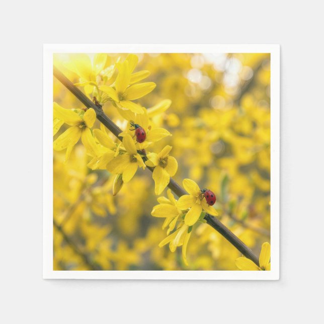 Nyckelpigor på gul forsythia-gren pappersservett (Framsidan)