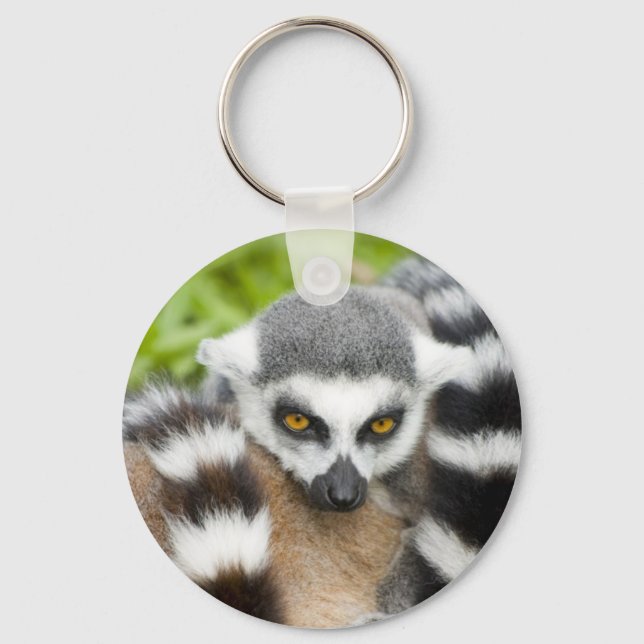 Nyckelring - Cute Lemur Stripey Svan (Framsida)