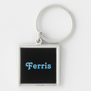 Nyckelring Ferris