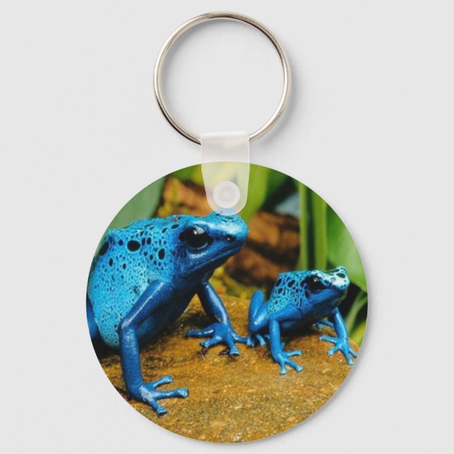Nyckelring FÖR BLUE POISON DART FROG KEYCHAIN (Framsida)