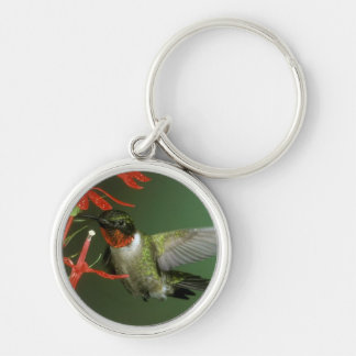 Nyckelring för Hummingbird 2