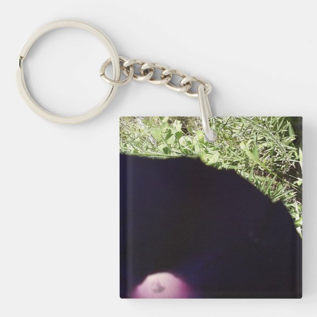 Nyckelring för morgonhärlighetblomma (Framsidan)