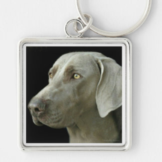 Nyckelring - Head studie Weimaraner