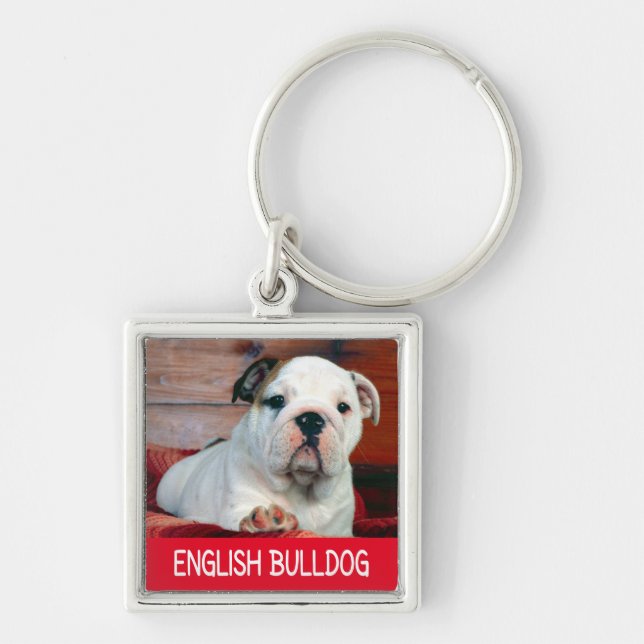 Nyckelring med engelsk bulldoggvalp (Framsidan)