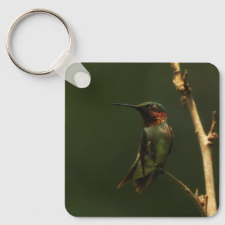 Nyckelring med rubinhuvad kolibri