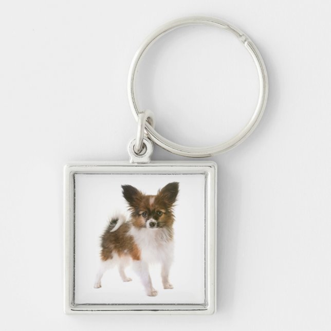 Nyckelring Papillon Valp (Framsidan)