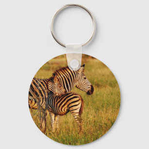 Nyckelringar av zebra och föl - safari-djur