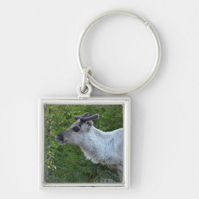 Nyckelringen Reindeer i Lappland Fyrkantig Silverfärgad Nyckelring (Framsidan)