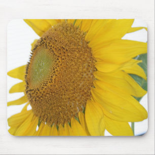 nyckfull solrosfotomousepad musmatta