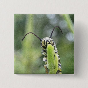 Nyckfull ung monarkfjäril Caterpillar Knapp
