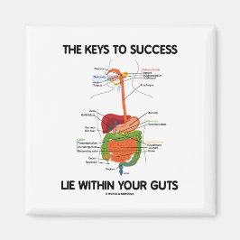 Nycklar för att lyckas Ljuga inom matsmältningen Magnet