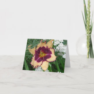 Nydag Gardens Notecard - Daylily 'Sabine Baur' Kort