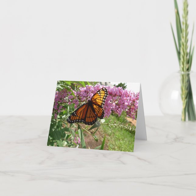 Nydag Gardens Notecard - Viceroy Butterfly Kort (Framsida)